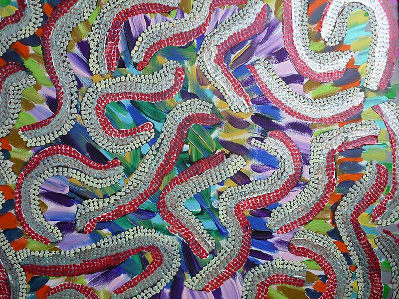 Serpents de couleur avec encadrement