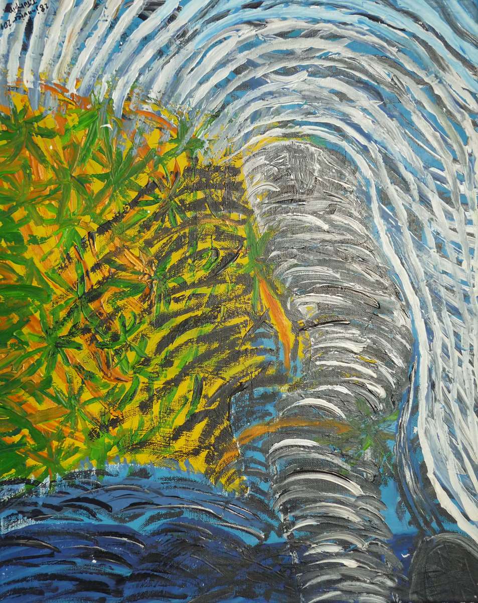 Cyclone et raz de marée