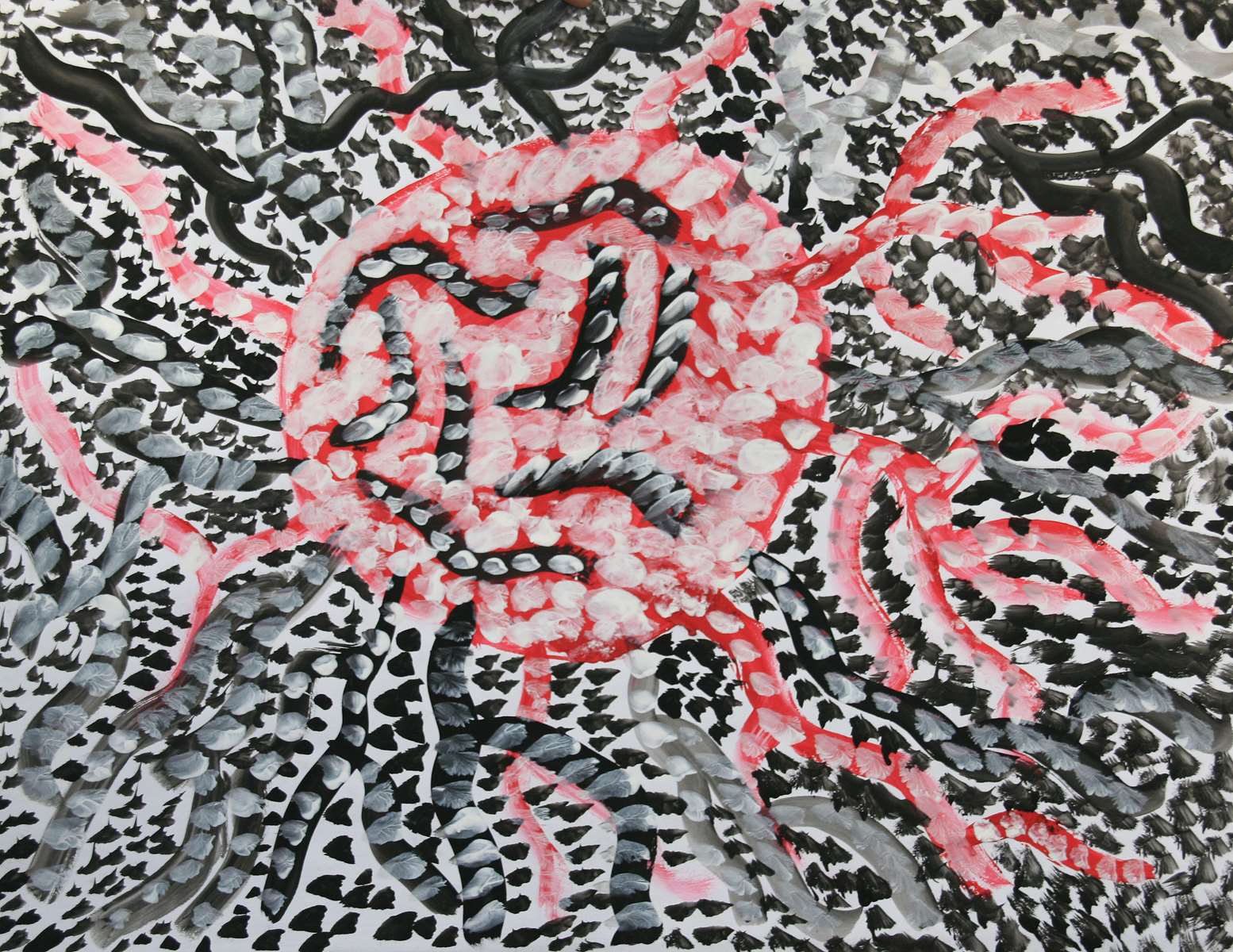 Proliferation cellulaire