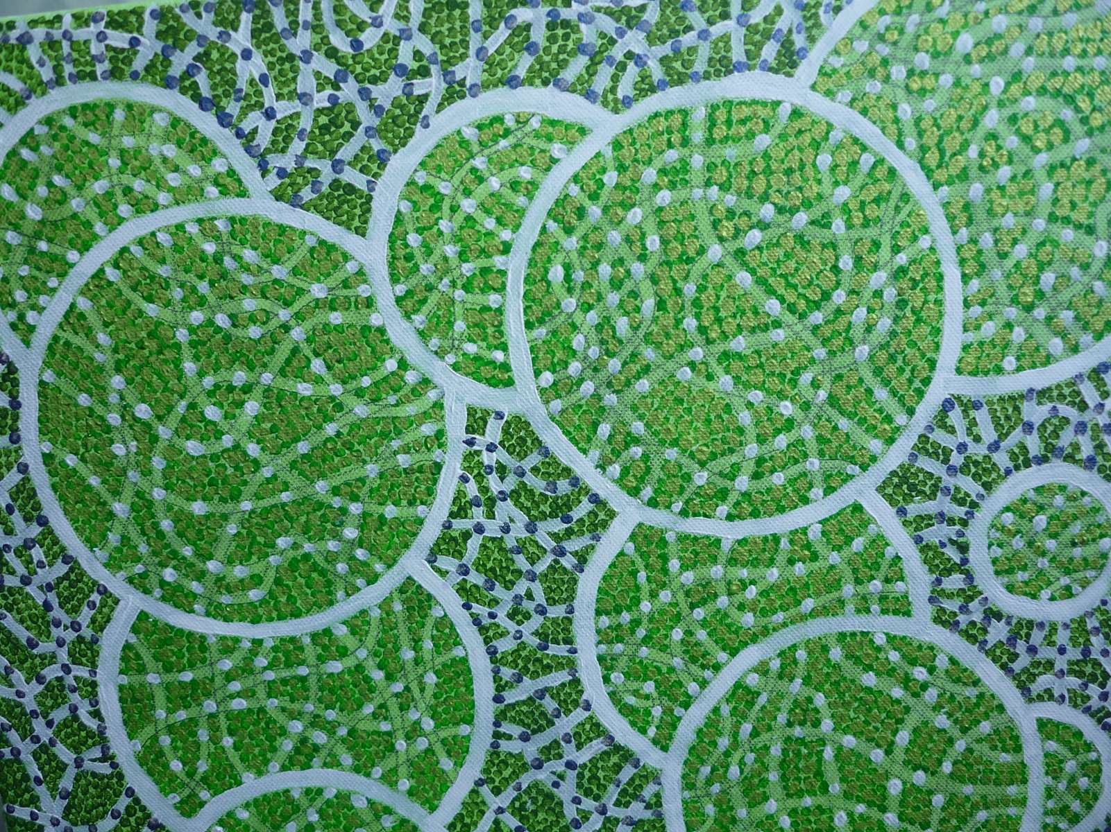Les citrons verts