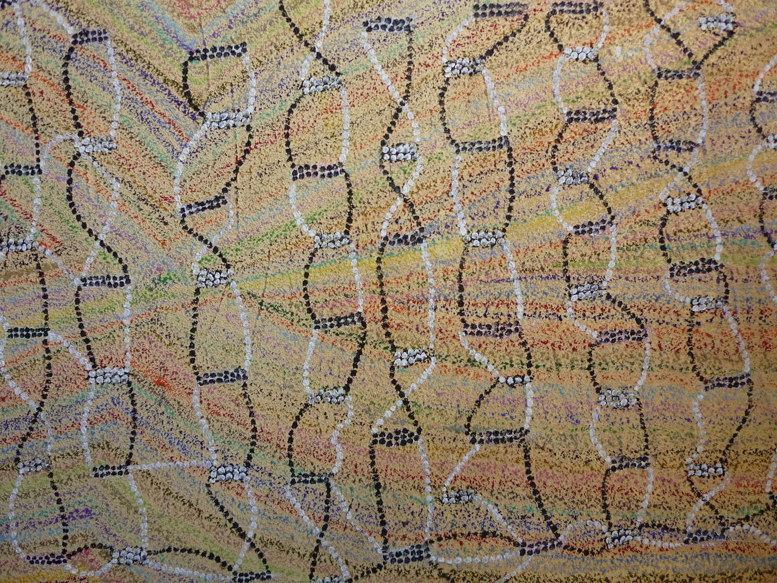 Structures d'ADN